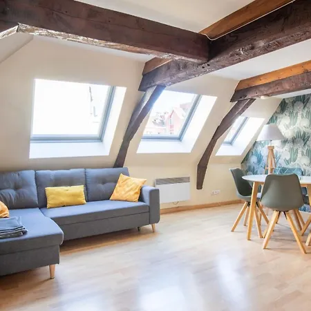 Charmant Duplex hypercentre de Lille 4 personnes